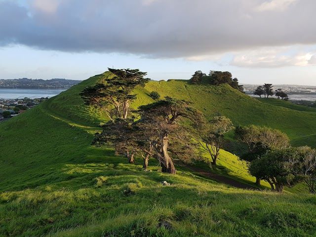 Mangere Domain